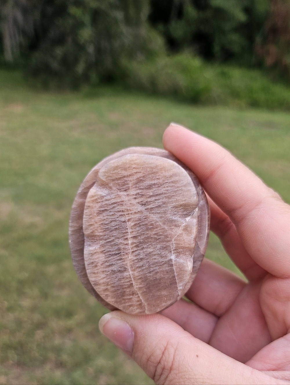 Peach Moonstone Turtle Shell - Picture 4 of 4